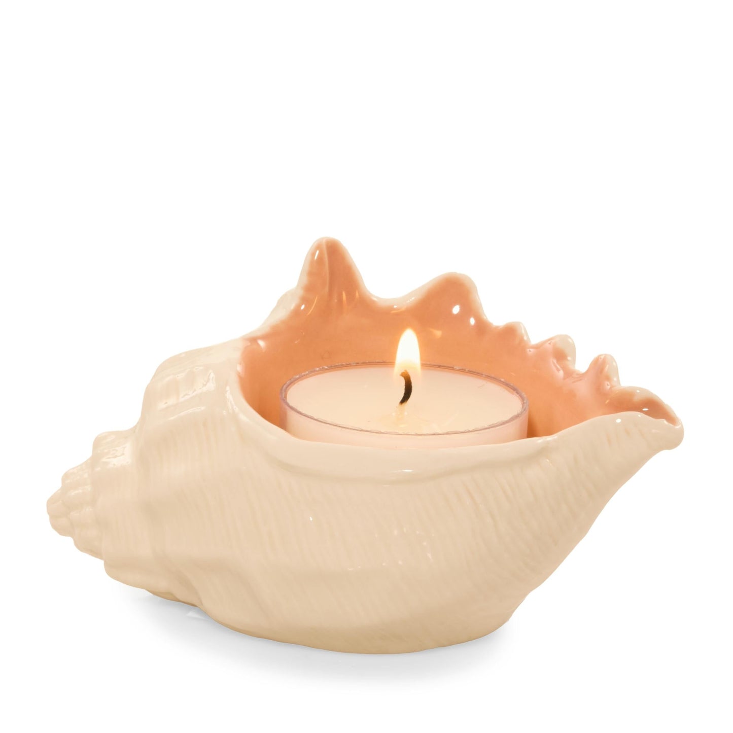 Seashell Tea Light Candle Holder CRTX