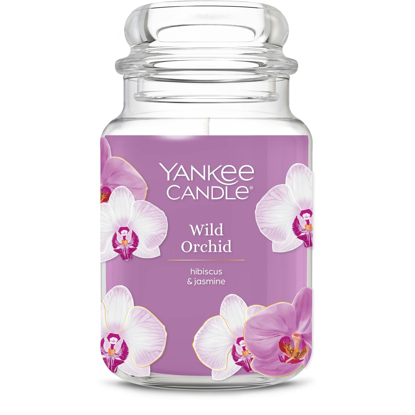 Wild Orchid ZAQ0