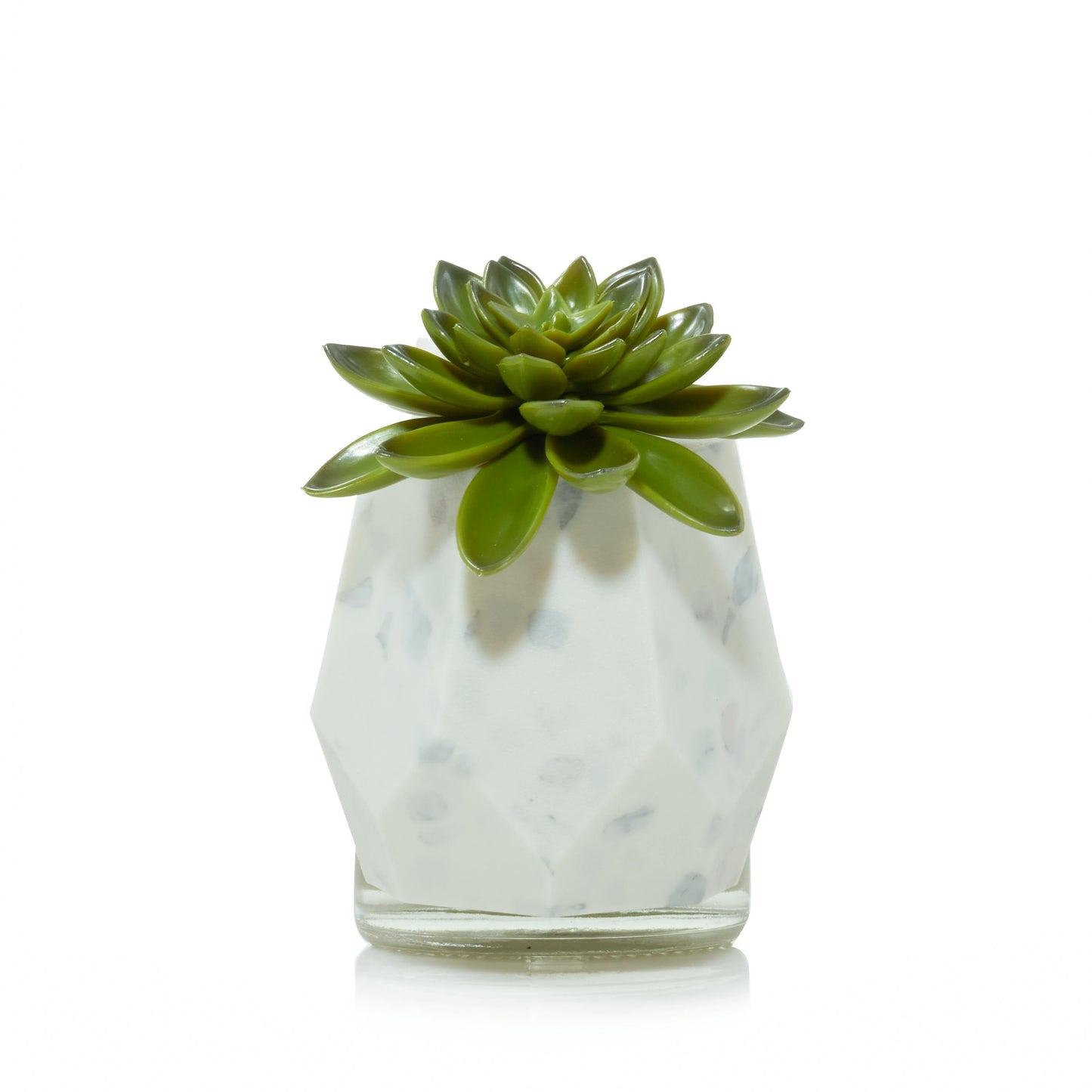 Faceted Succulent ScentPlug® Diffuser with Light G0D9