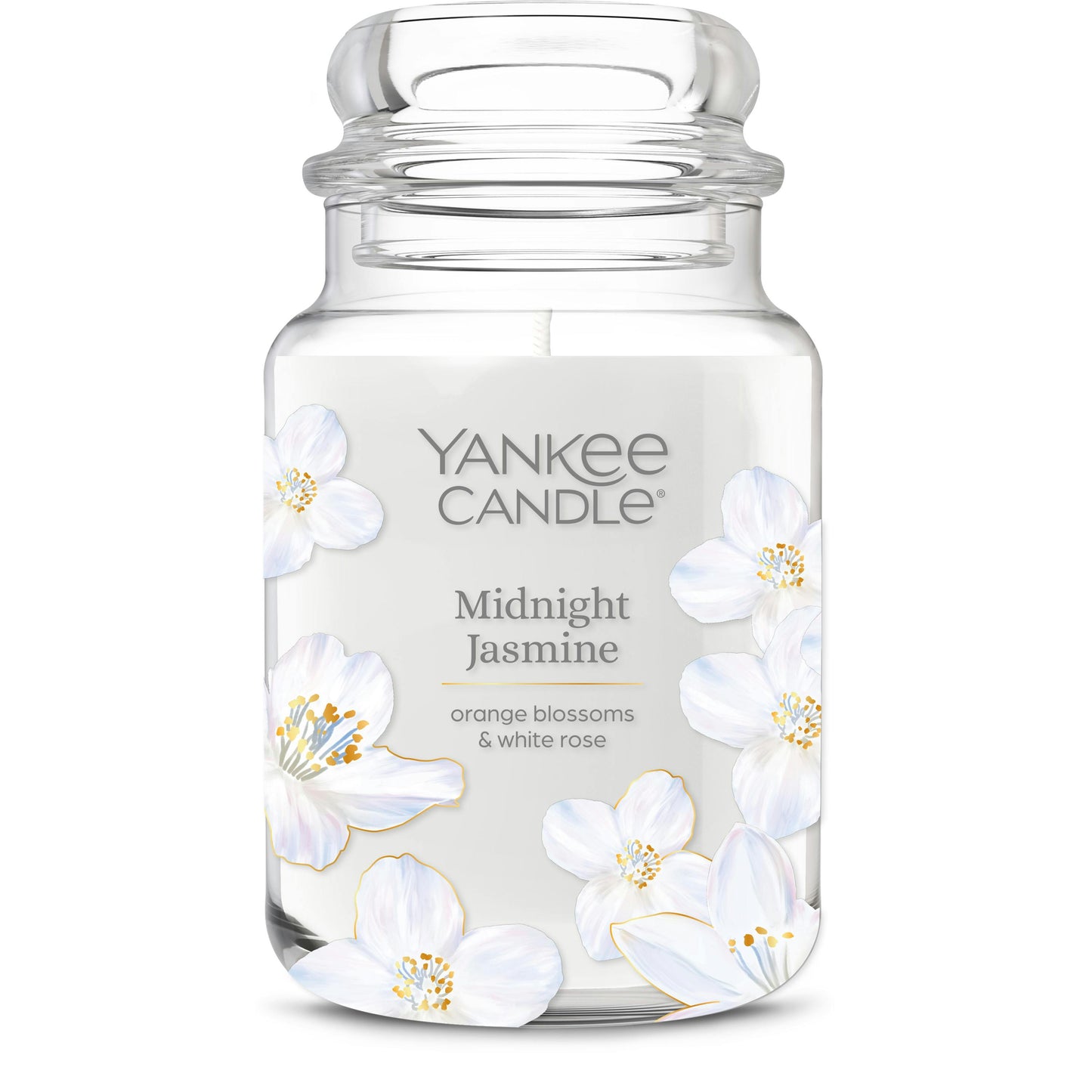 Midnight Jasmine QW8S