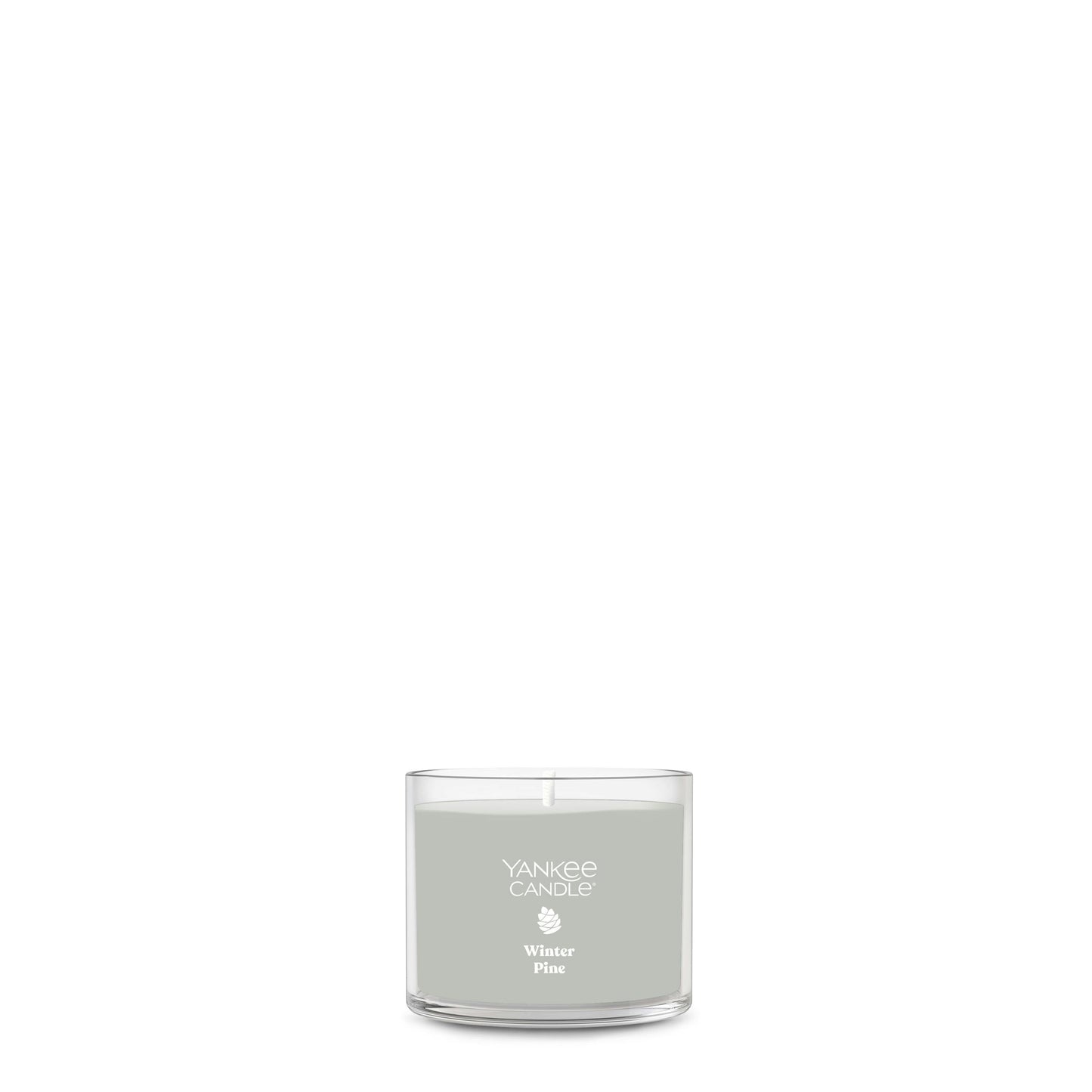 Winter Pine UOCO