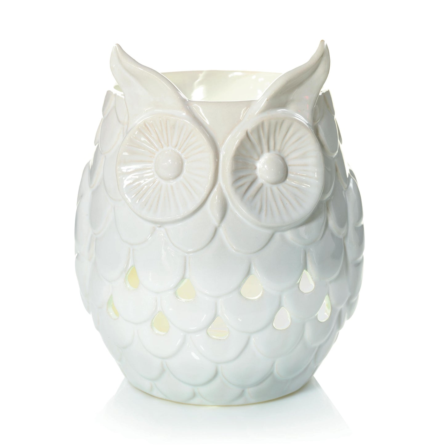 Owl 662P