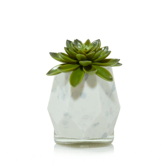 Faceted Succulent ScentPlug® Diffuser with Light G0D9